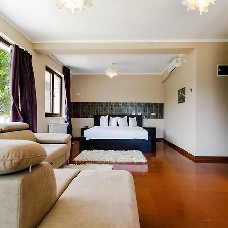 Rex Infinity View 4* Cazanele Dunarii Dubova Bagian luar foto